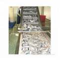 Ligne de production de poisson de mer d'équipement en conserve